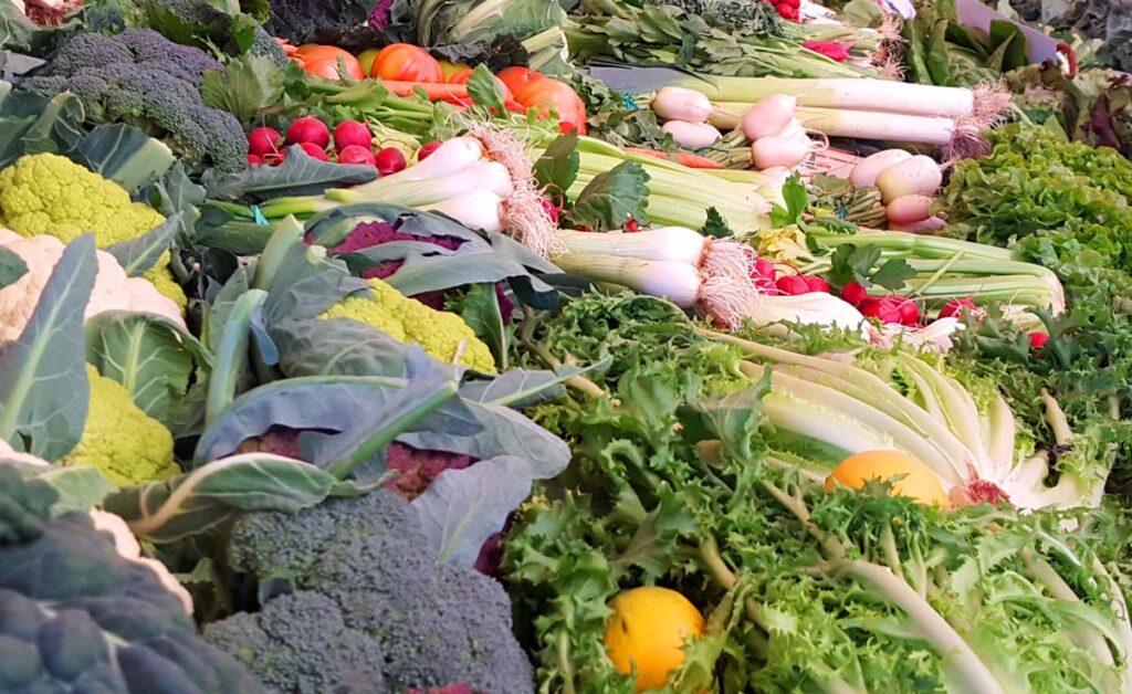 10 Consejos de mantenimiento para cámaras frigoríficas portátiles 1